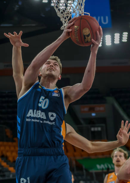 今年的羽毛 今年的羽毛